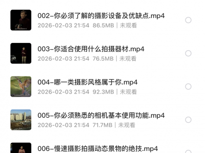 大师级的摄影思维：搞定相机手机无人机