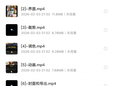 阿宁全能剪辑实战强化课